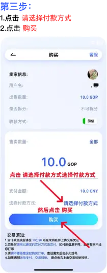 GoPay 购买流程教程:下单前检查与风险提示步骤 3