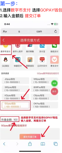 GoPay 平台充值教程:到账核验与账户安全步骤 1