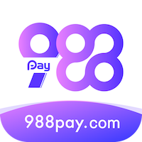 998Pay下载