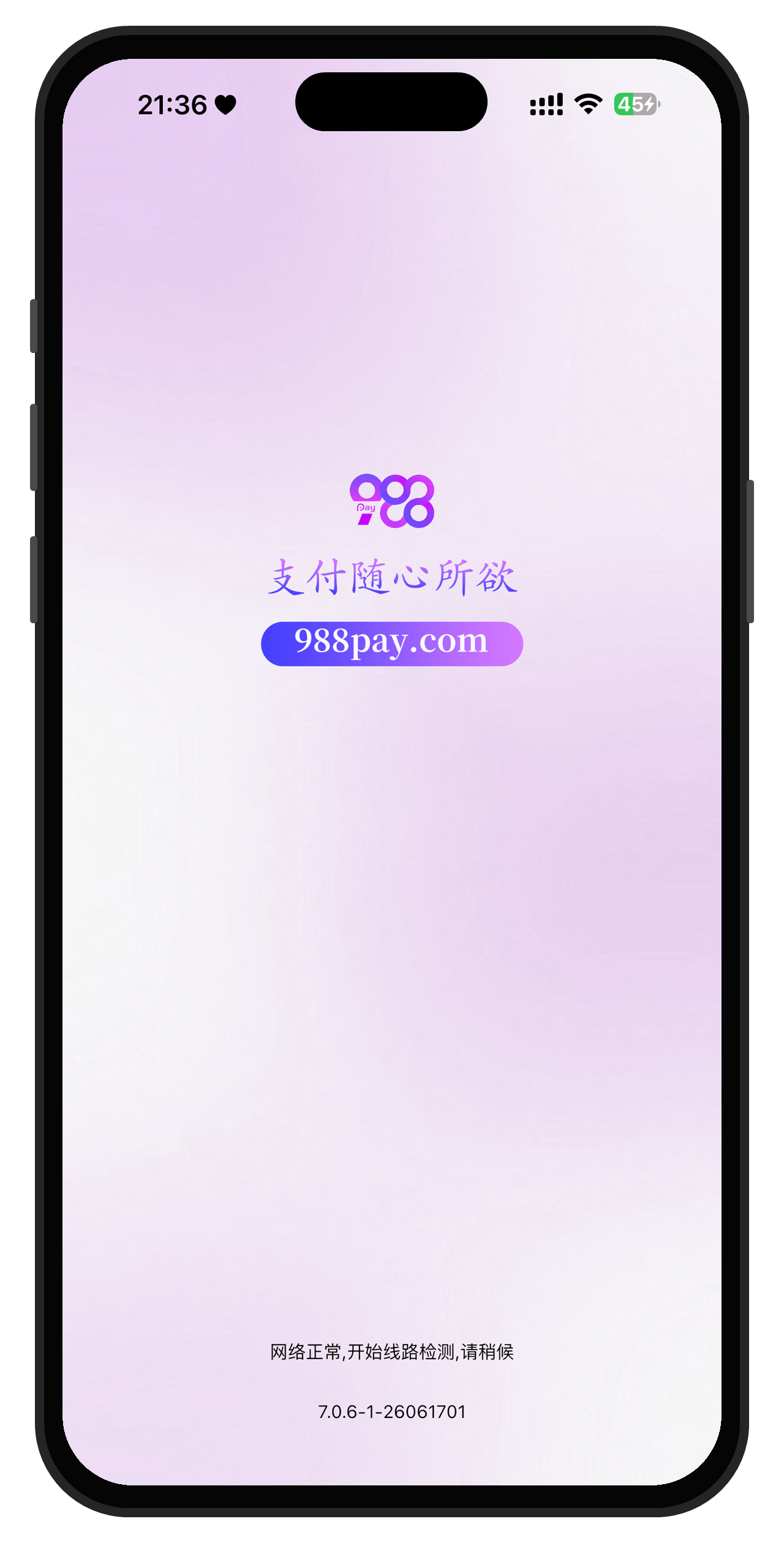 998Pay下载
