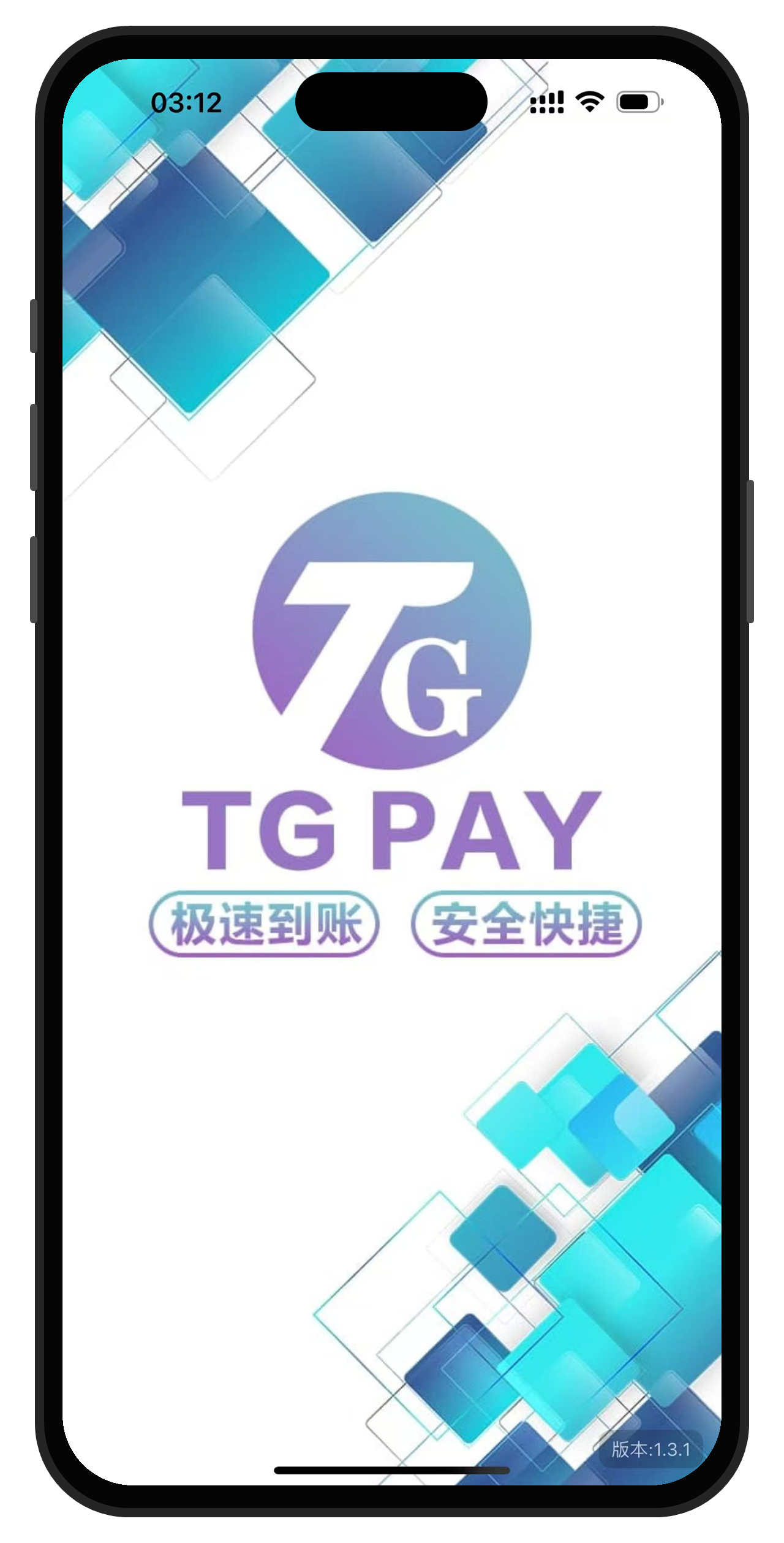 TGPay